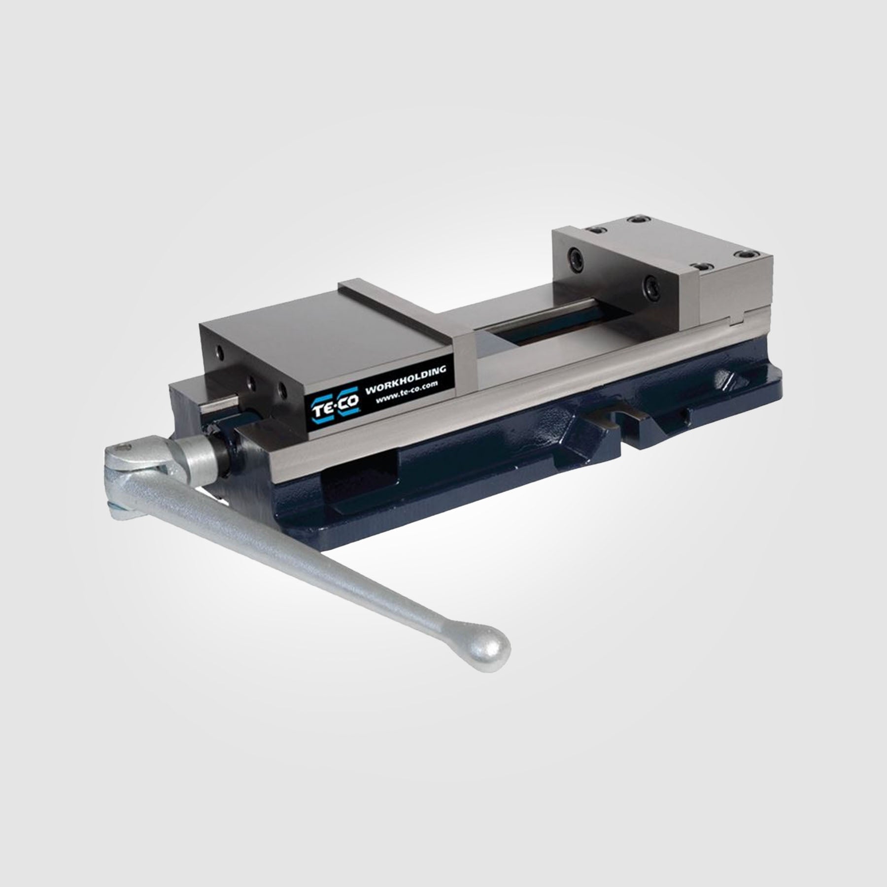 TE-CO 8" Single Station Vise | PWS-8110